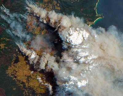 Опасность подстерегает не только на дороге
